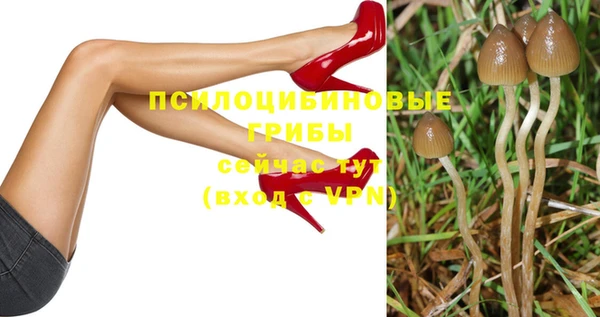 эйфоретик Верхний Тагил
