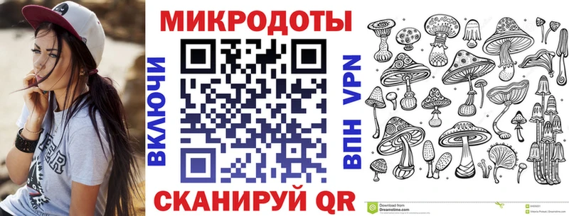 Псилоцибиновые грибы Psilocybine cubensis Новосиль