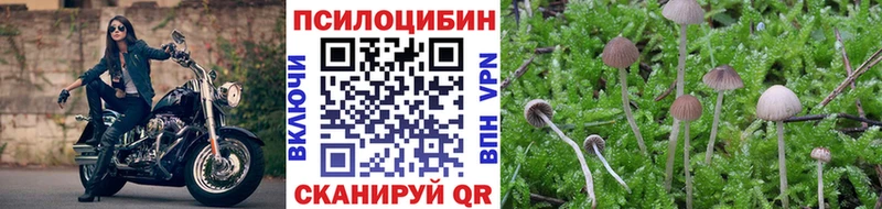 Купить где  Новосиль  Псилоцибиновые грибы Magic Shrooms 