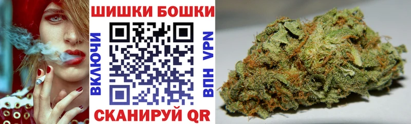 Купить закладки  Новосиль  Бошки Шишки THC 21% 